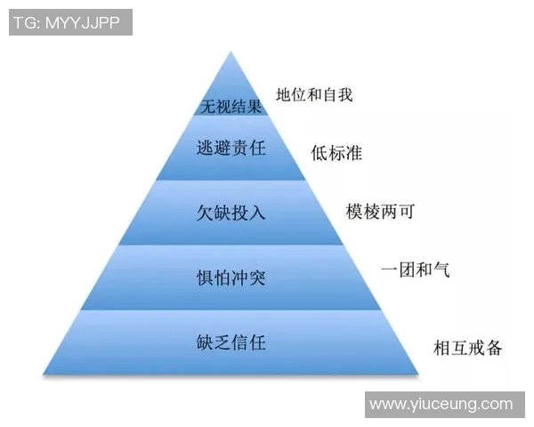 广州网球队在锦标赛中的团队协作表现分析与评价