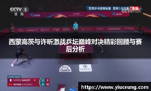 西蒙高茨与许昕激战乒坛巅峰对决精彩回顾与赛后分析