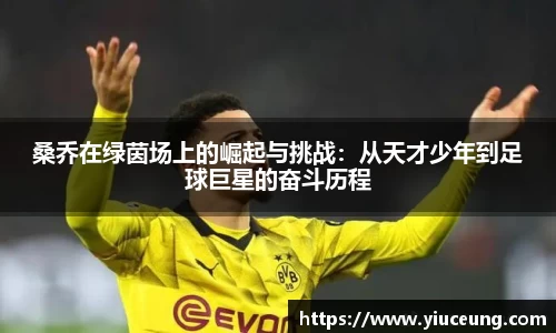 桑乔在绿茵场上的崛起与挑战：从天才少年到足球巨星的奋斗历程