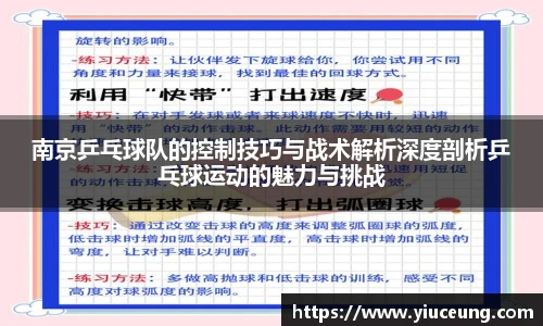 南京乒乓球队的控制技巧与战术解析深度剖析乒乓球运动的魅力与挑战